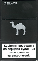 Camel Black (mini)